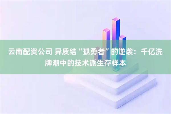 云南配资公司 异质结“孤勇者”的逆袭：千亿洗牌潮中的技术派生存样本