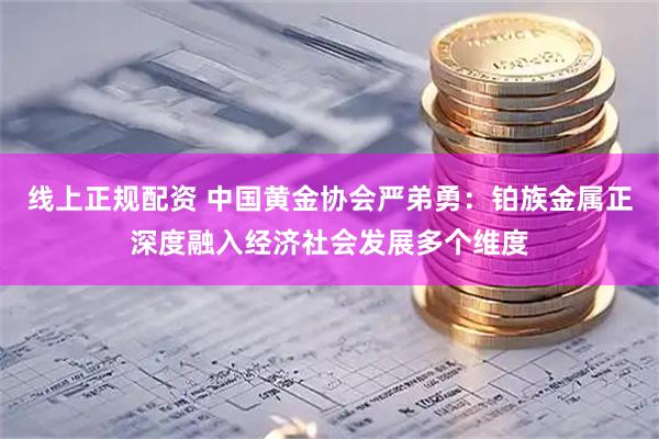 线上正规配资 中国黄金协会严弟勇：铂族金属正深度融入经济社会发展多个维度